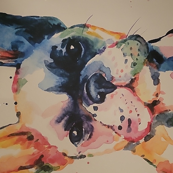 FRENCHIE - Picture 2 of 4